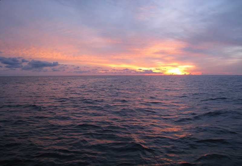 sunset cruise Islamorada
