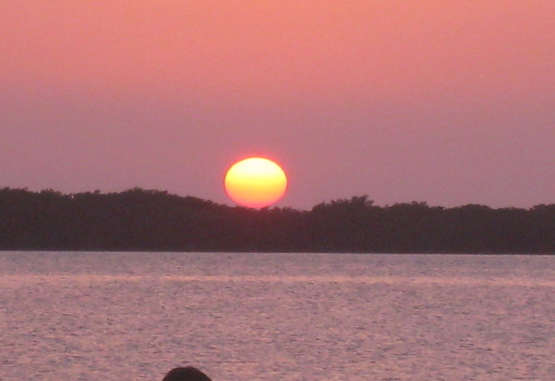 sunset cruise islamorada